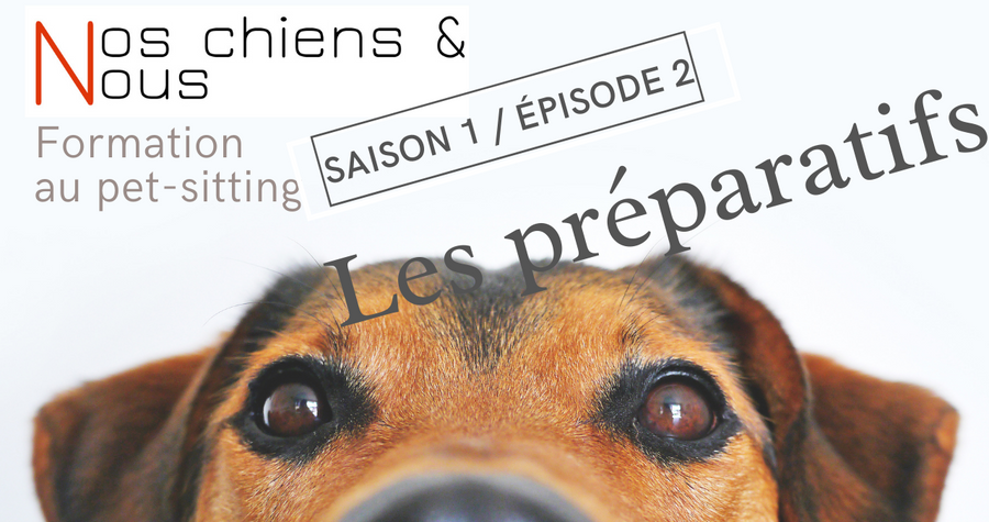 Les préparatifs